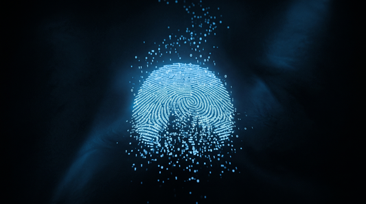 Cómo borrar tu huella digital de internet en 7 pasos